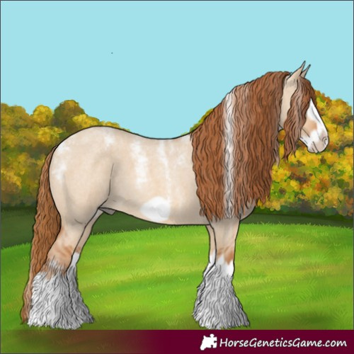 Horse Color:Powder White Red Dun Roan Splash Frame