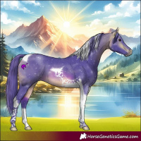 Horse Color:Watercolor Buckskin Tobiano