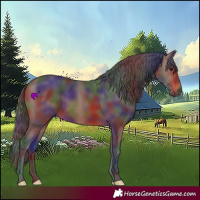 Horse Color:Nacre Brown