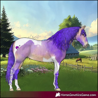 Horse Color:Watercolor Buckskin Tobiano