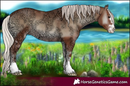 Horse Color:Silver Blue Onyx Ice