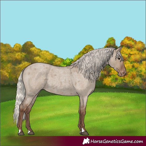 Horse Color:Unknown 