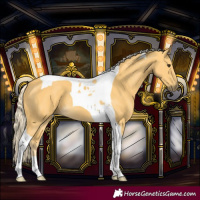 Horse Color:Palomino Tobiano 