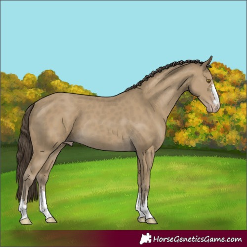 Horse Color:Classic Cream Champagne