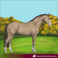 Horse Color:Classic Cream Champagne 