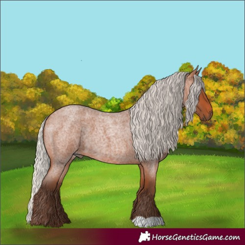 Horse Color:Silver Bay Roan 