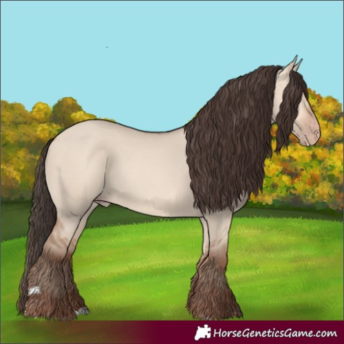 Horse Color:Amber Champagne Dun
