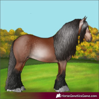 Horse Color:Gray Bay