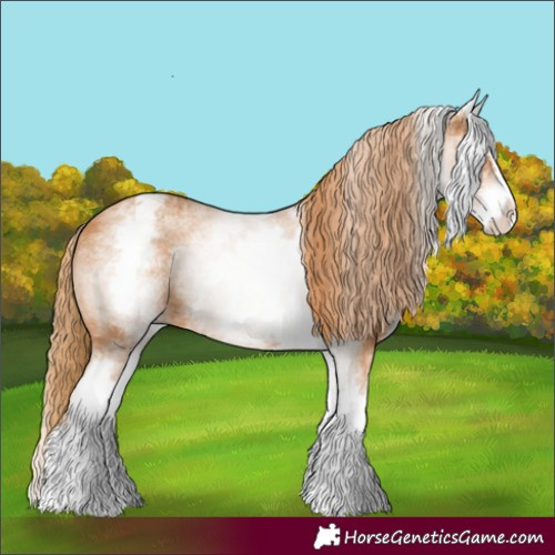 Horse Color:White Spotted Chestnut Splash