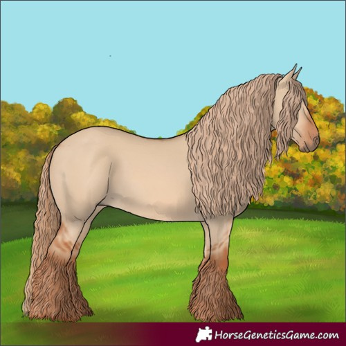 Horse Color:Red Dun