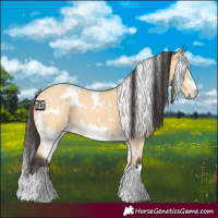 Horse Color:White Spotted Buckskin