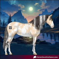 Horse Color:White Spotted Buckskin