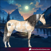 Horse Color:White Spotted Buckskin