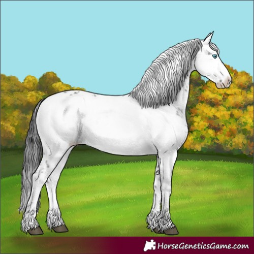 Horse Color:Black Frame 