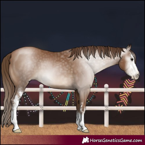 Horse Color:Gray Black Pearl Sabino 