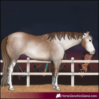 Horse Color:Gray Black Pearl Sabino 