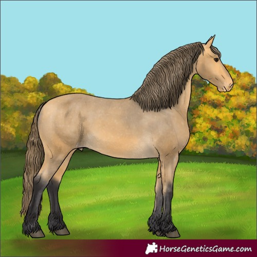 Horse Color:Buckskin Varnish 