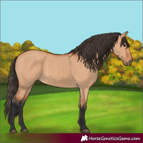Horse Color:Unknown 