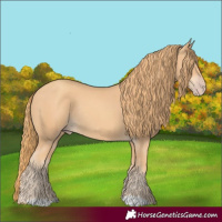 Horse Color:Gold Champagne Rabicano