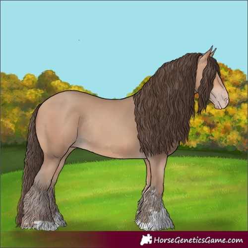 Horse Color:Amber Champagne Rabicano 