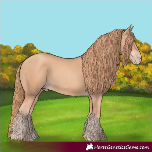 Horse Color:Gold Champagne Rabicano