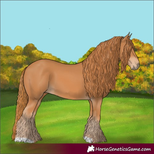 Horse Color:Chestnut 