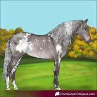 Horse Color:Platinum White Spotted Silver Brown Dun Rabicano 