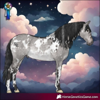 Horse Color:Platinum White Spotted Brown Dun Rabicano