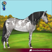 Horse Color:Platinum White Spotted Brown Dun Rabicano