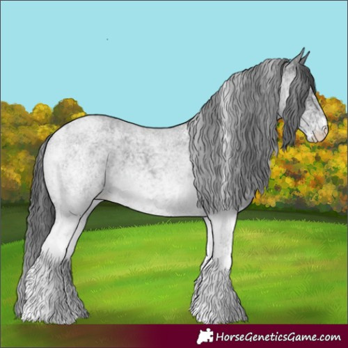Horse Color:White Spotted Blue Roan 