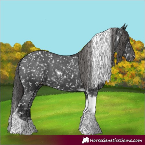 Horse Color:Black Tobiano Snowflake Varnish