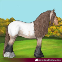 Horse Color:Bay Roan Dun Snowcap 