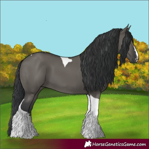Horse Color:Grullo Tobiano 