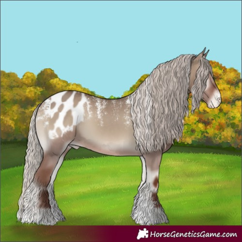 Horse Color:Powder White Silver Grullo Onyx Appaloosa 