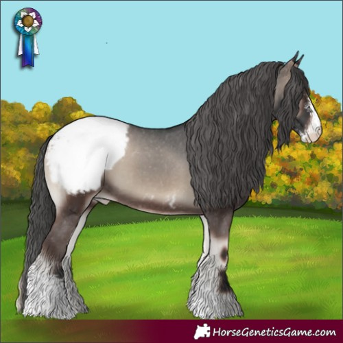 Horse Color:Blue Onyx Sabino Snowcap