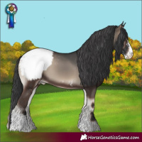 Horse Color:Blue Onyx Sabino Appaloosa 