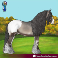 Horse Color:Blue Onyx Sabino Appaloosa