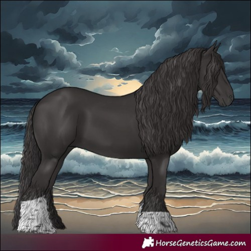 Horse Color:Smoky Black Tobiano Rabicano 
