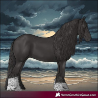 Horse Color:Smoky Black Tobiano Rabicano