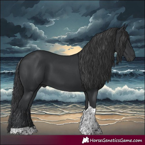 Horse Color:Black Tobiano