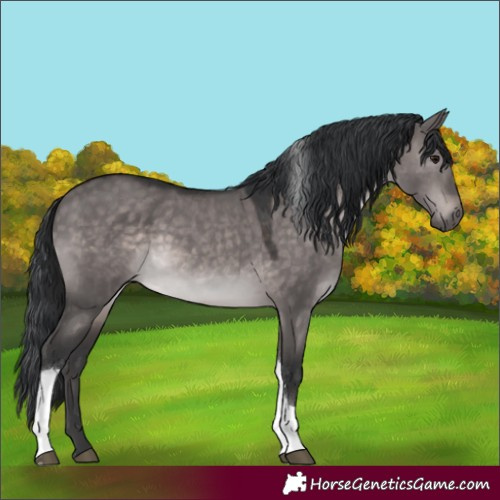 Horse Color:Platinum Brown Dun Tobiano Rabicano 