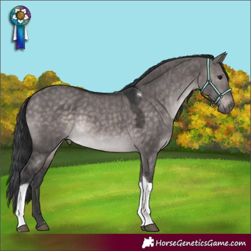 Horse Color:Platinum Brown Dun Tobiano Rabicano 