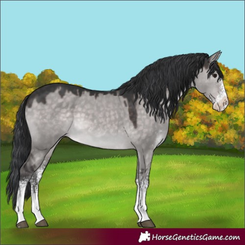 Horse Color:Platinum White Spotted Brown Dun Rabicano 