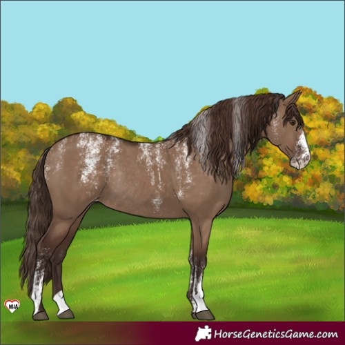 Horse Color:Powder White Liver Red Dun Varnish Rabicano 