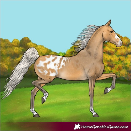Horse Color:Unknown 