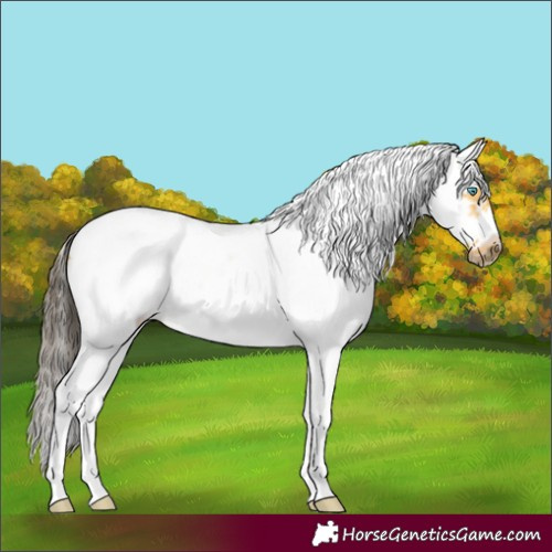 Horse Color:White Spotted Buckskin Dun Splash Tobiano Frame 