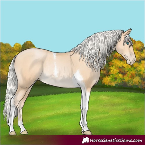 Horse Color:Silver Buckskin Pearl Tobiano Rabicano 