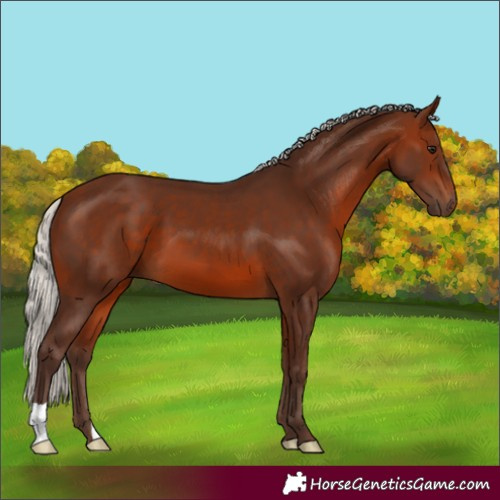 Horse Color:Silver Brown 