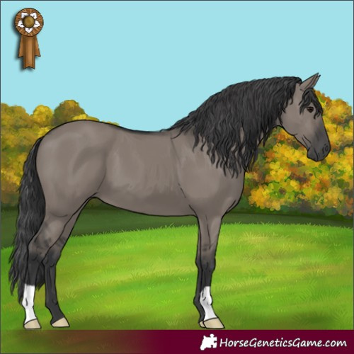 Horse Color:Grullo 