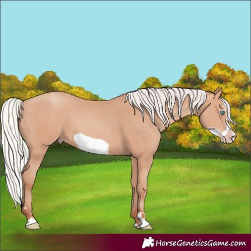 Horse Color:Silver Amber Champagne Frame